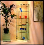 Vitrine2000.jpg (43.321 Byte)